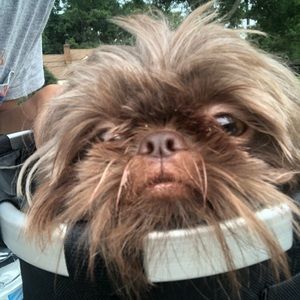 Meet your Posher, Michael